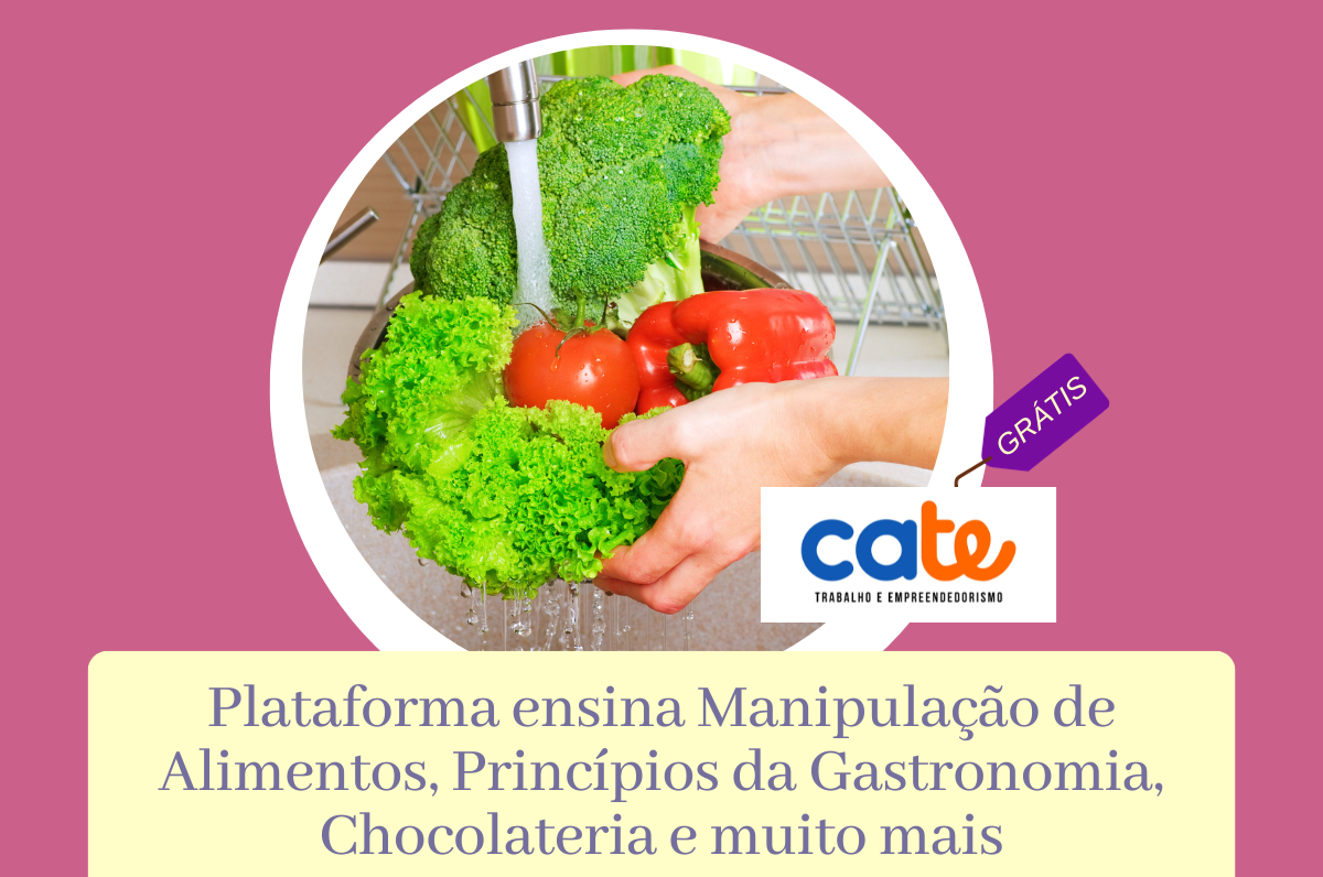 Jogo ensina noções de culinária goiana com produtos da agricultura